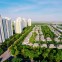 Chung cư Rừng Cọ Ecopark